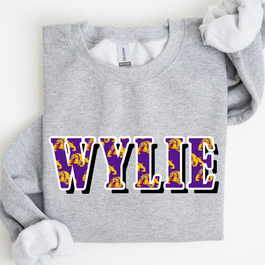 Custom School/Mascot Sweatshirt PREORDER