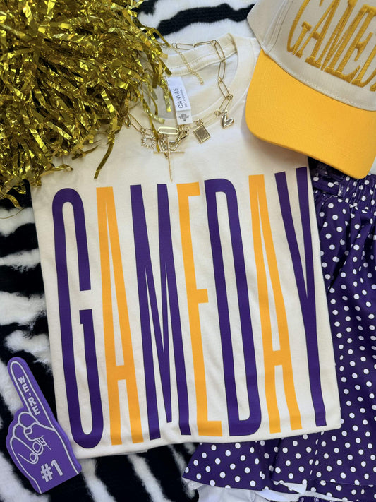 PURPLE Game Day Collection PREORDER - Youth
