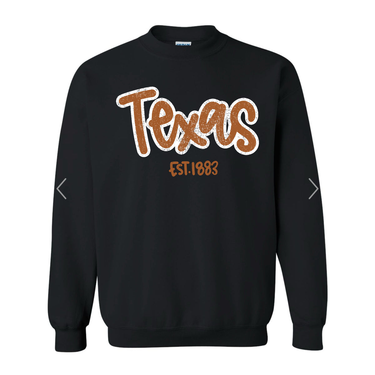 Vintage Texas Tee/Sweatshirt PREORDER - Made To Order